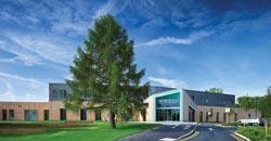 Buildings rise from natural contours