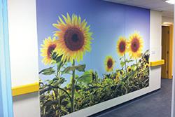 Danesbury upgrade brings plenty of colour 