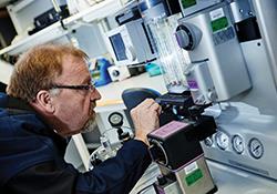 Medical devices maintained