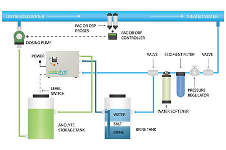 A ‘green’ means of effective disinfection