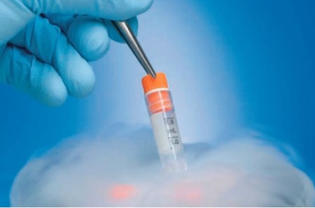 Cryogenic safety course