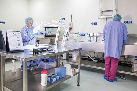 Low temperature endoscope sterilisation