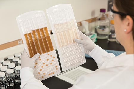 Legionella test results in seven days