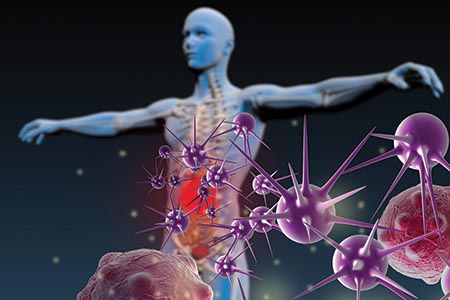 Advantages of VHP biocides described