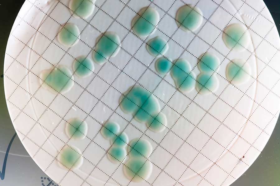 Complying with the new BS standard on P. aeruginosa