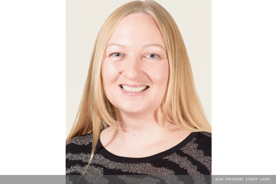 BCIA responds to warm homes plan