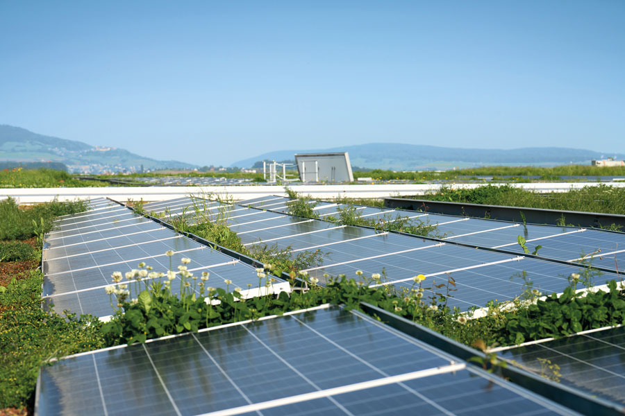 The healing potential of green roofs in healthcare